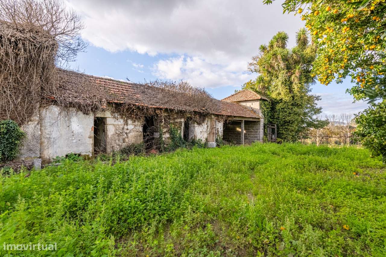 Moradia Senhorial - Felgueiras-32