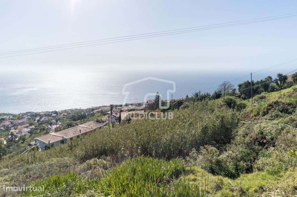 Terreno Gaula - Grande imagem: 4/6