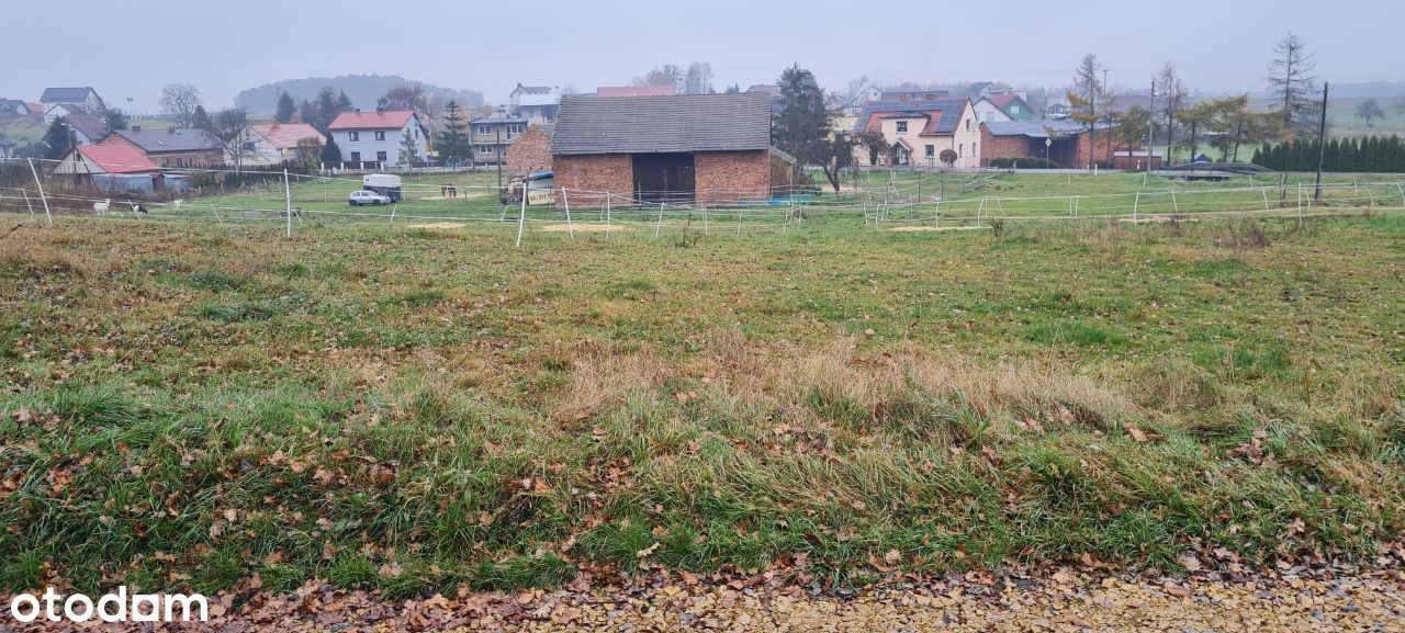 Działki sprzedam Poniszowice ul.Gliwicka