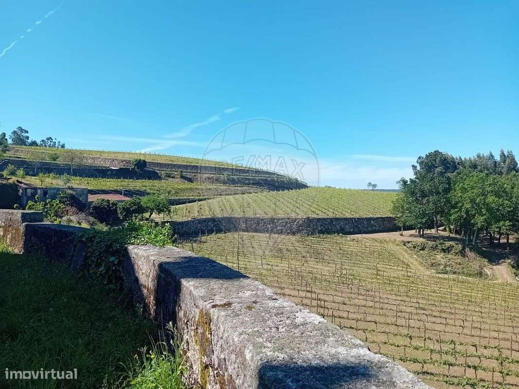 Quinta T7 para venda-7