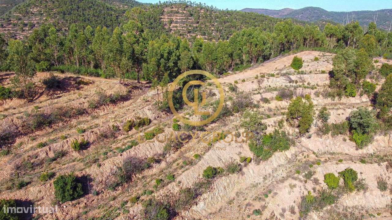 Propriedade de 10 hectares perto da barragem de Odelouca-10