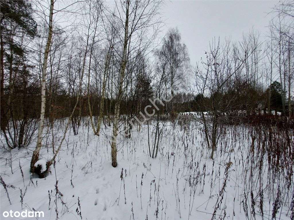 Plan Miejscowy, Wszystkie Media, Asfalt.-2