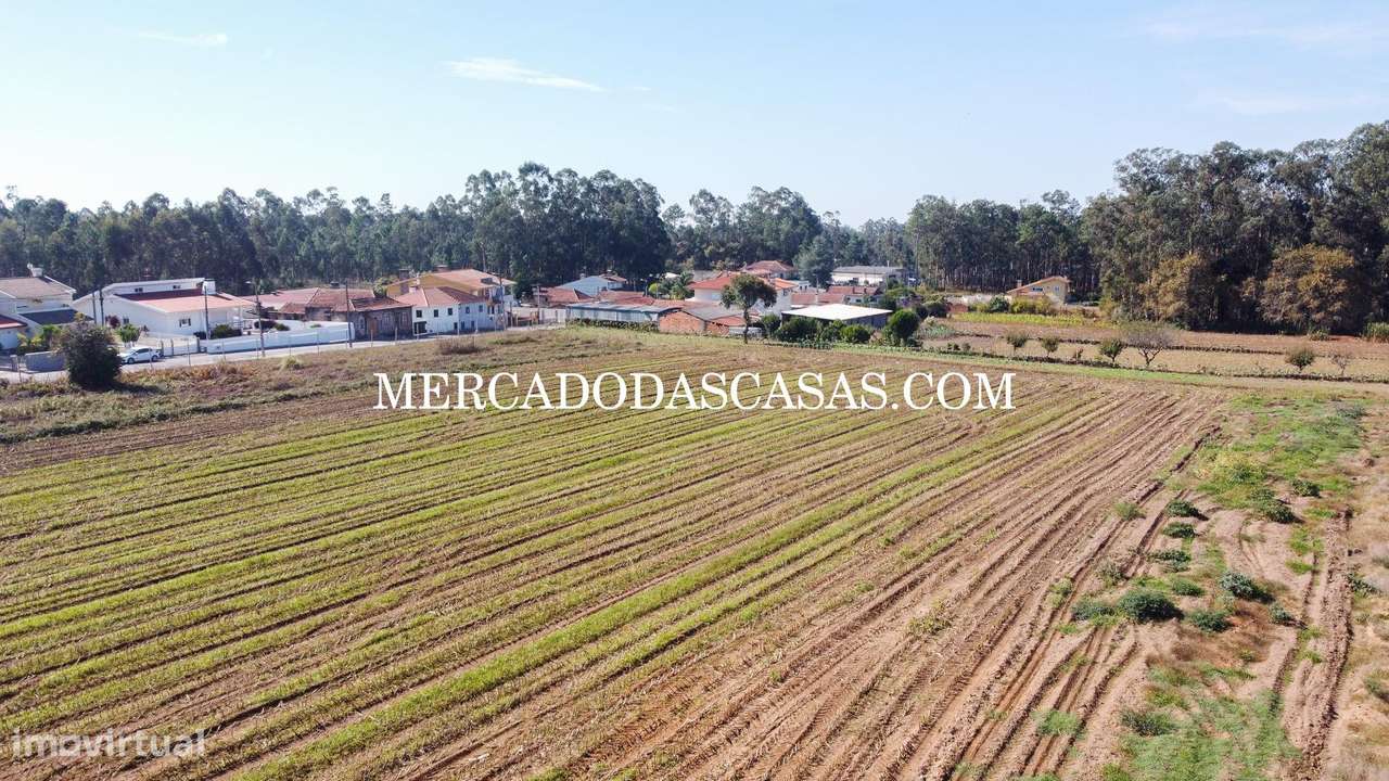 Terreno c/ 16,560m2 - São Miguel de Souto-6