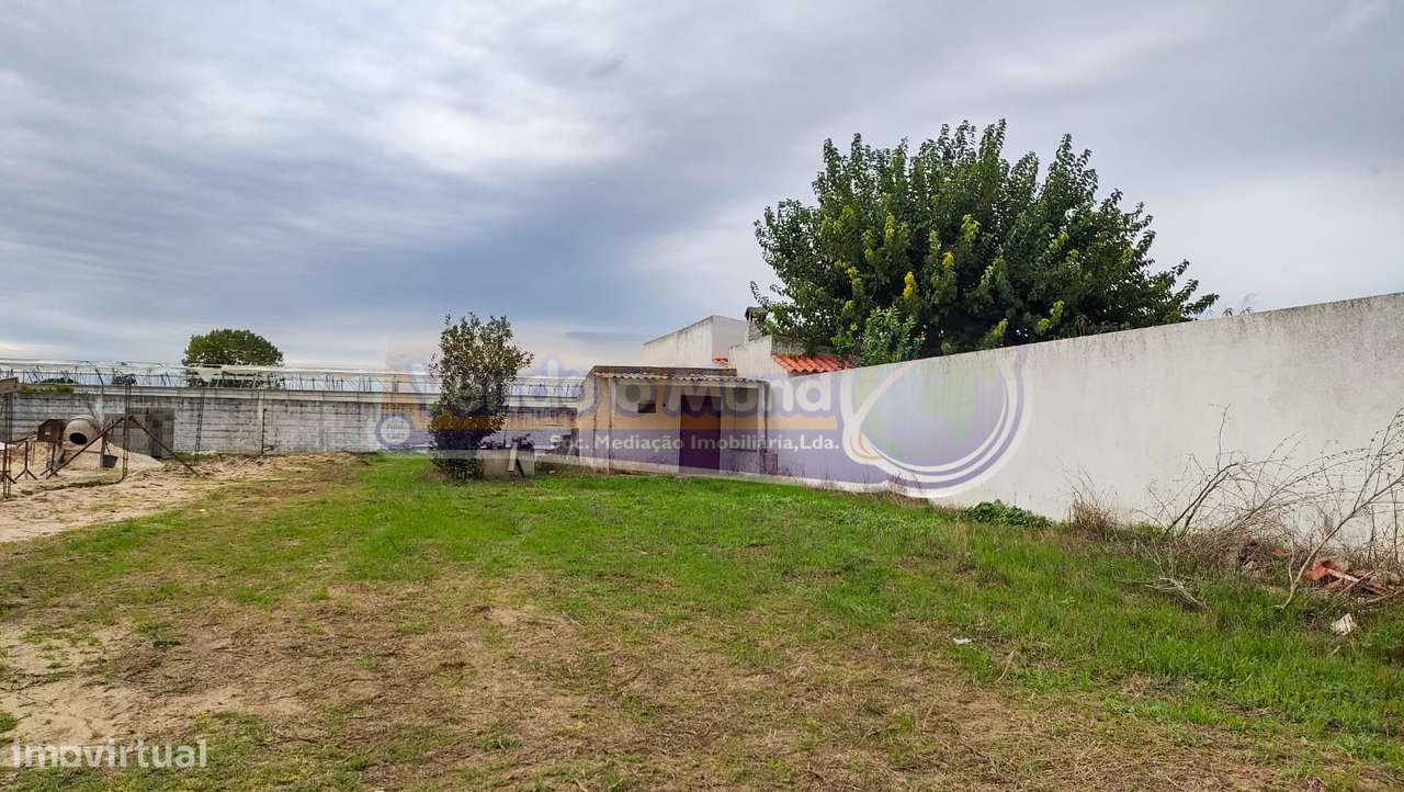 Terreno em Marinhais (M611) - Grande imagem: 5/8