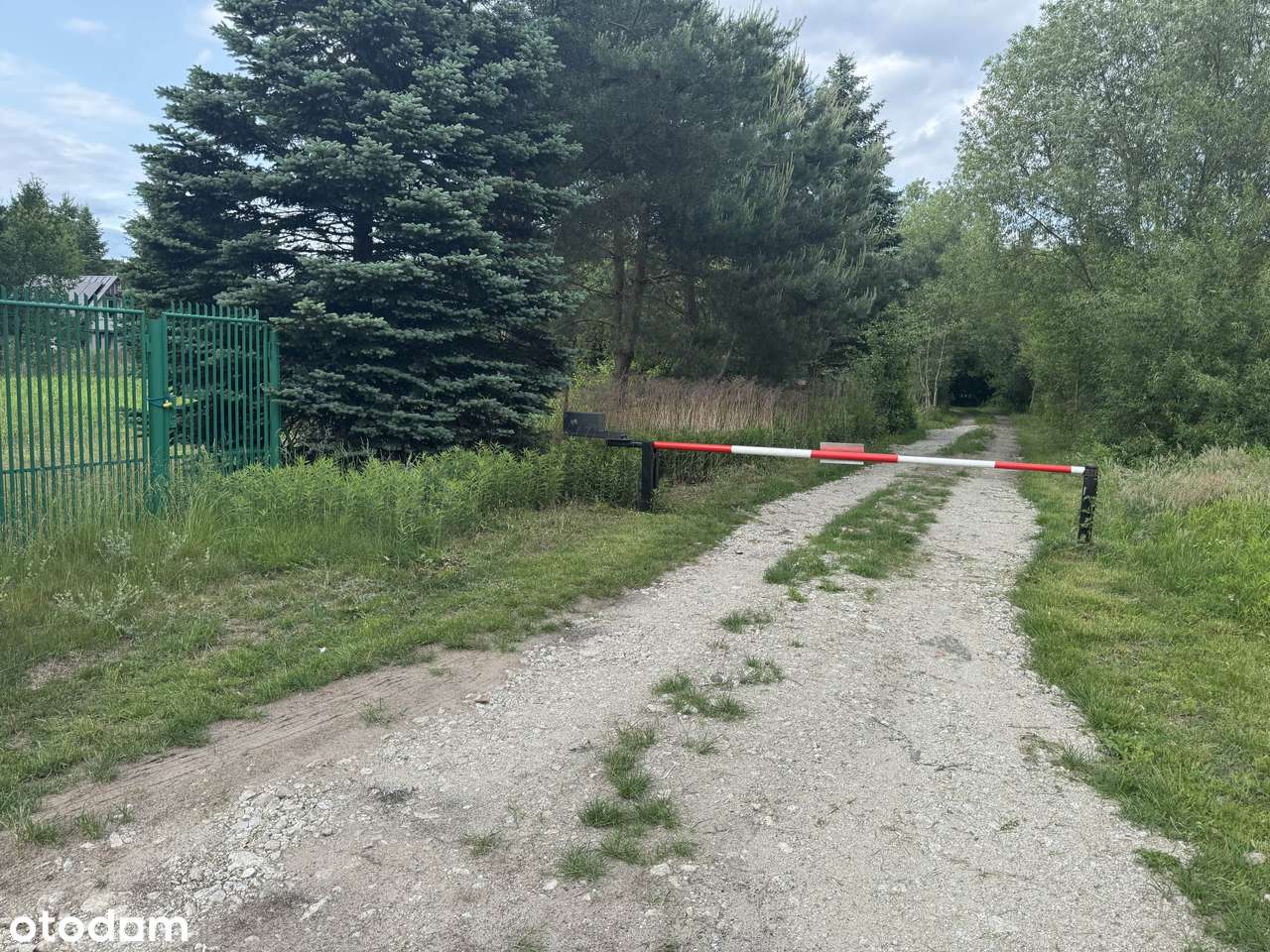 Działka budowlana w bliskiej odległości do Jeziora Ciechomickiego. - Pełny obrazek: 5/10