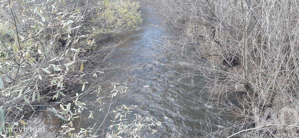 Terreno Agrícola em Três Povos - Grande imagem: 2/18