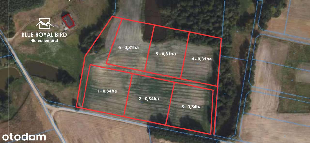 Działki budowlane – Ostrowite, gm. Lipno 3100–3400m²-3