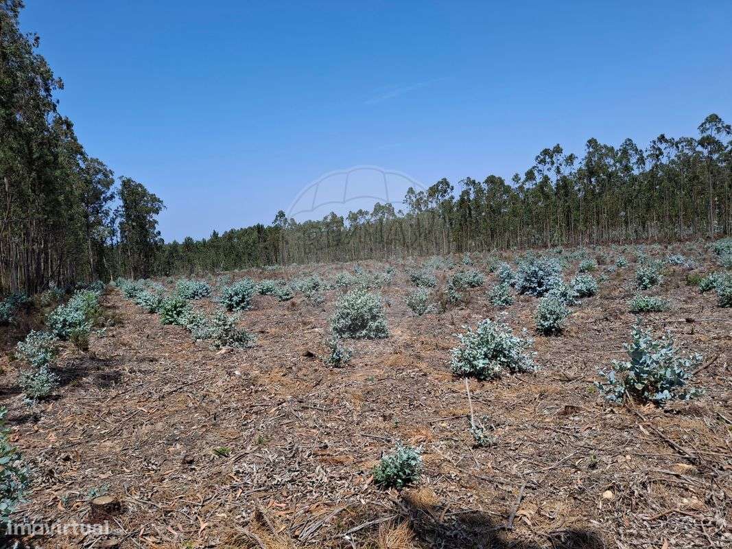 Terreno  para venda - Grande imagem: 2/3