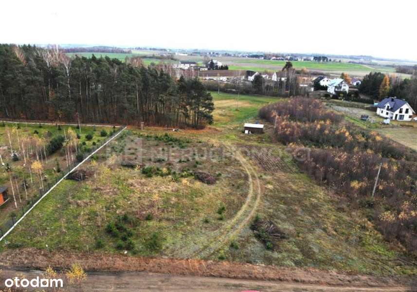 Działka przy lesie 3635 m2 - Lipinki Królewskie - Pełny obrazek: 1/6