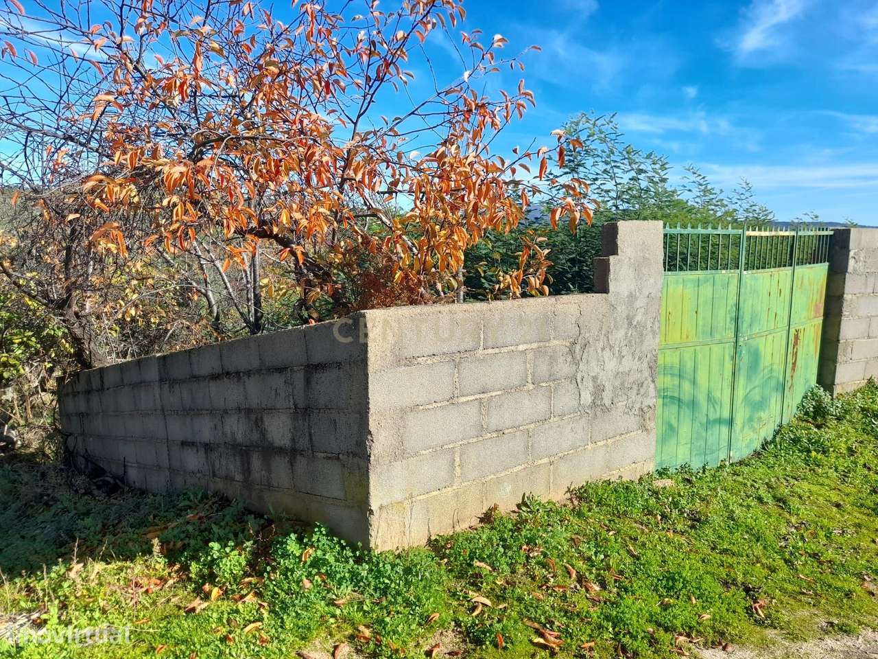 Oportunidade Única: Terreno Rústico em Violeiro, São Vicente da Beira - Grande imagem: 3/5