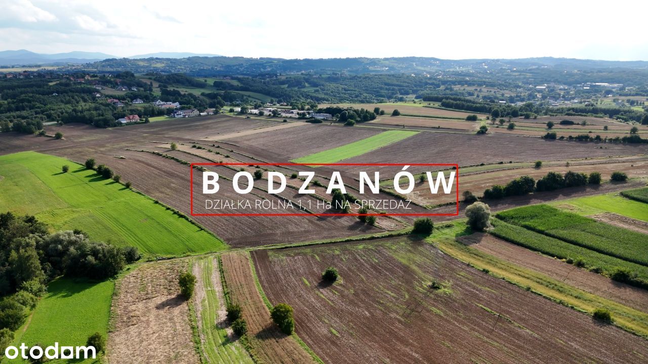 Działki rolne w miejscowości Bodzanów