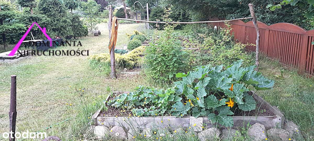 Działka przy lesie, blisko jeziora z WZ na dom-18