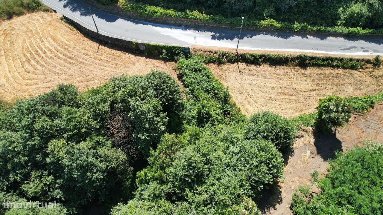 Quinta com mais de 2 Hectares, entre A4 e A42 | Turismo Rural &...-10