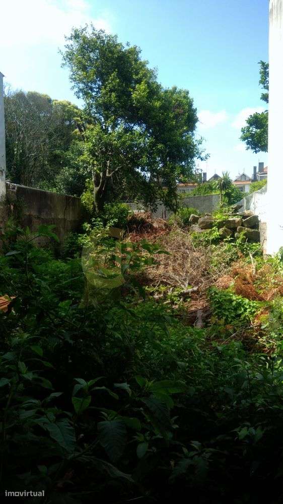 PRÉDIO NA BOAVISTA COM PIP APROVADO-1