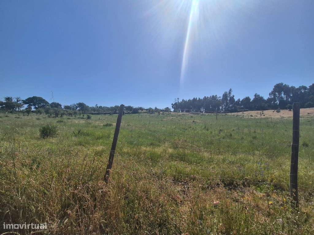 Terreno Rústico - Grande imagem: 2/16