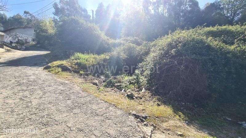 Terreno / Lousada, Sousela - Grande imagem: 4/12