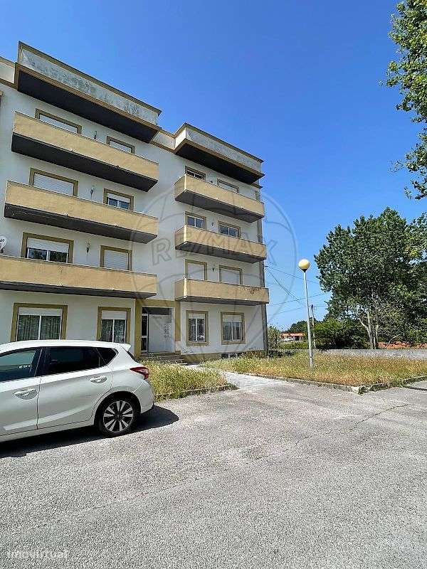 Arrecadação  para venda - Grande imagem: 4/4