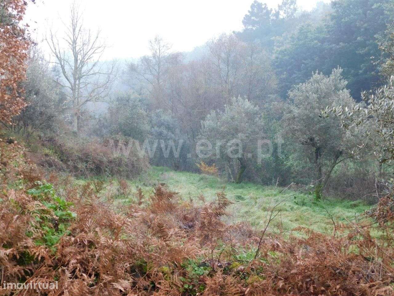 Terreno / Fundão, Souto da Casa - Grande imagem: 2/3