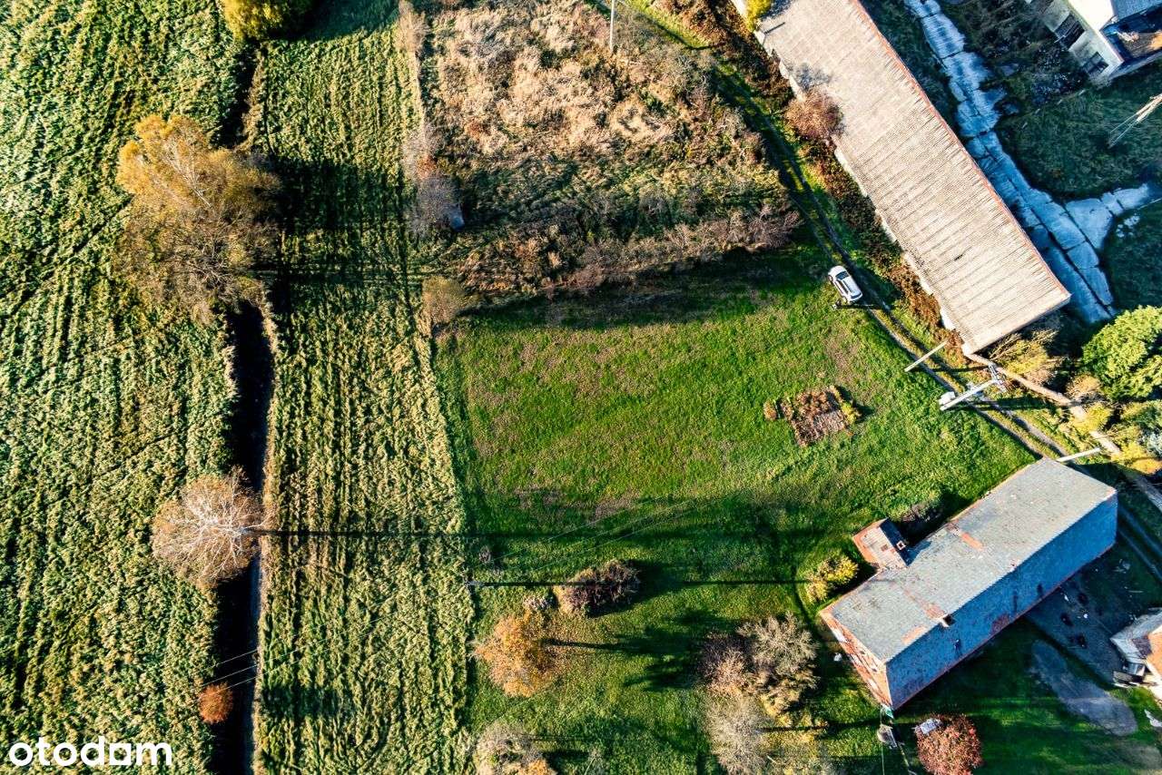 Działka z Domem - Białowice ok 4000 m2-6