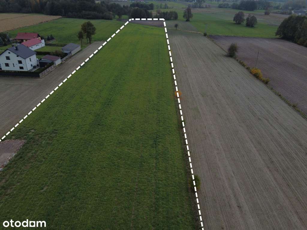 Działka z WZ – 10 km od Radomia - Pełny obrazek: 4/11