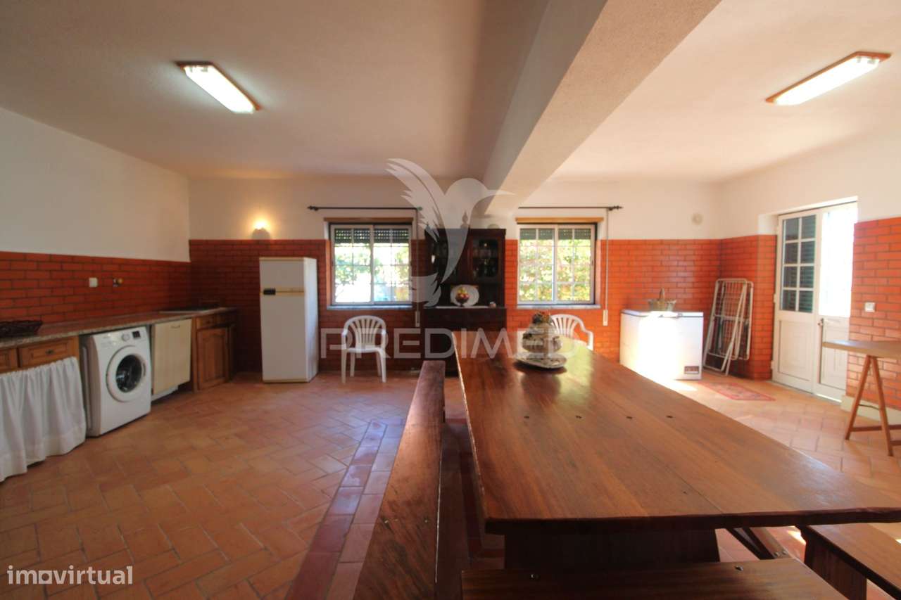 Mordia T5 com logradouro generoso - Grande imagem: 5/36