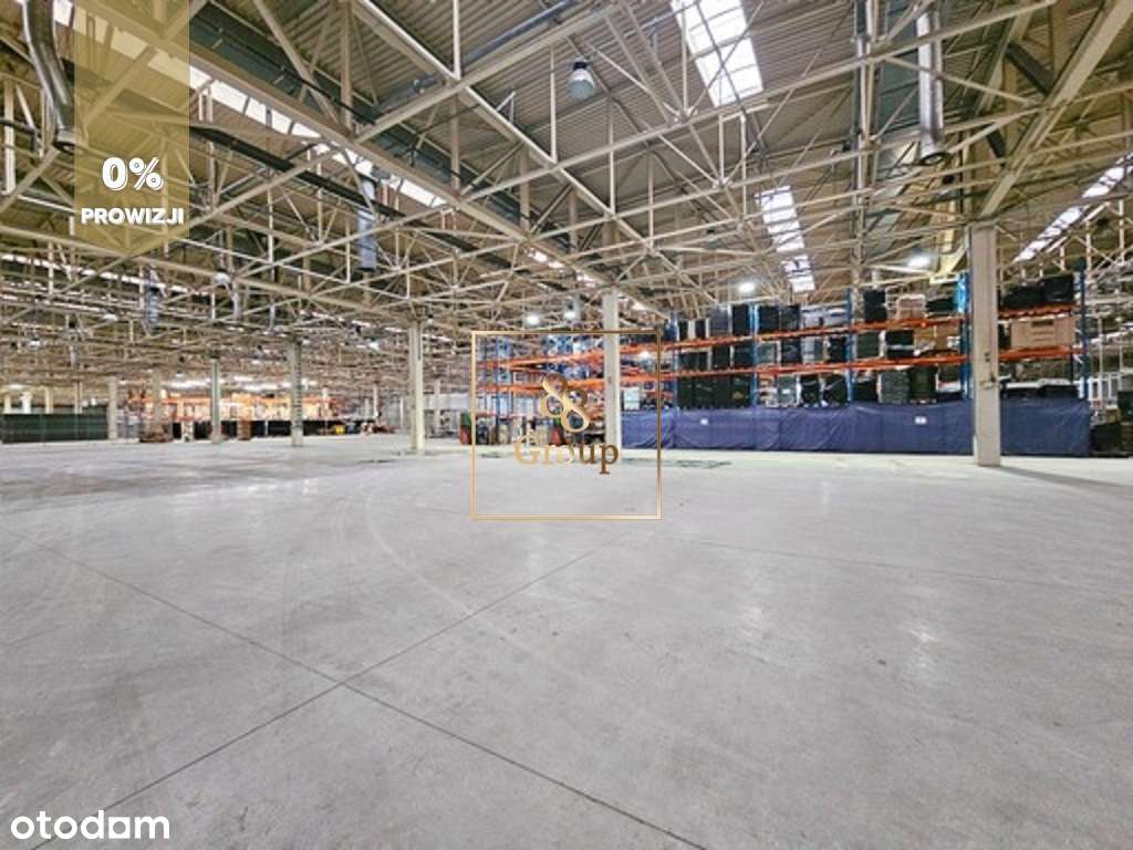 Do wynajęcia magazyn 500m2 Warszawa Praga-Północ - Pełny obrazek: 3/7