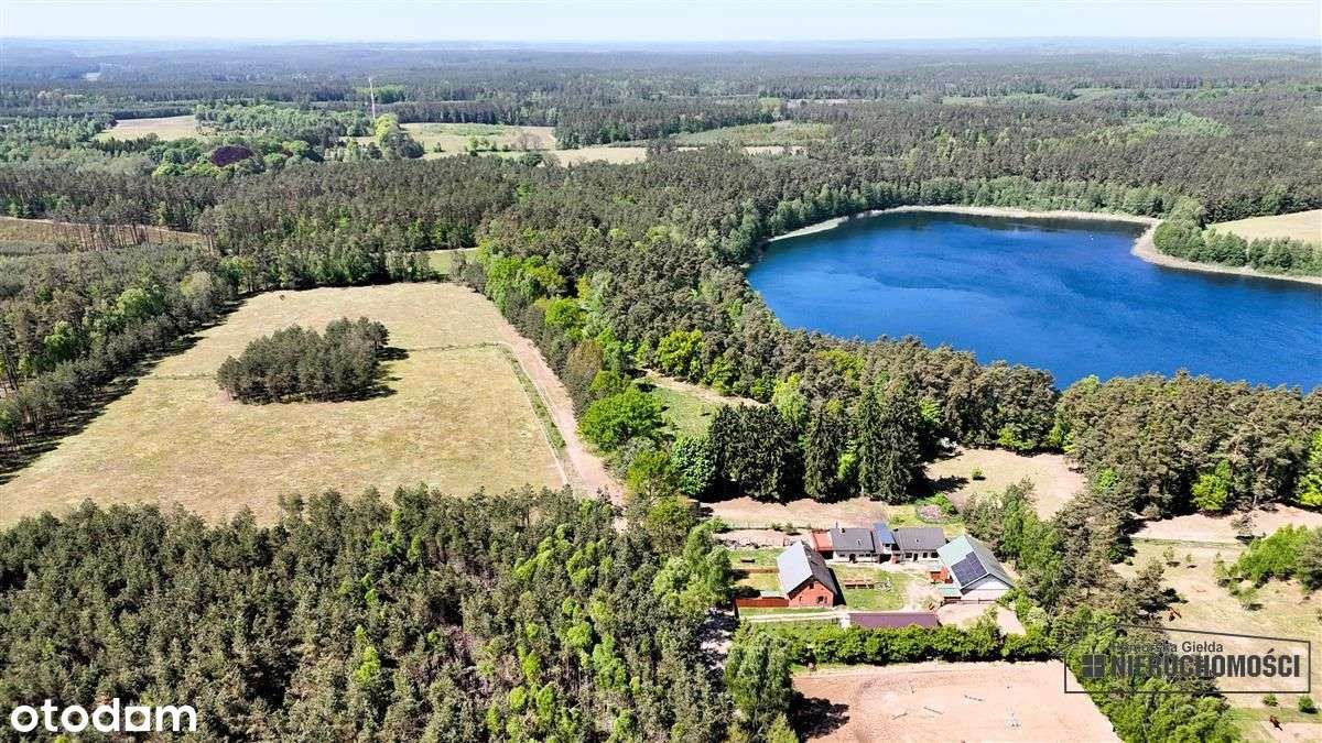 Okole - Grunt siedliskowy w otoczeniu lasu ok. 100-8