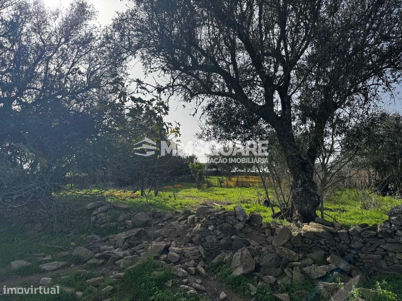 Quintinha T3 Venda em Ourique,Ourique-23