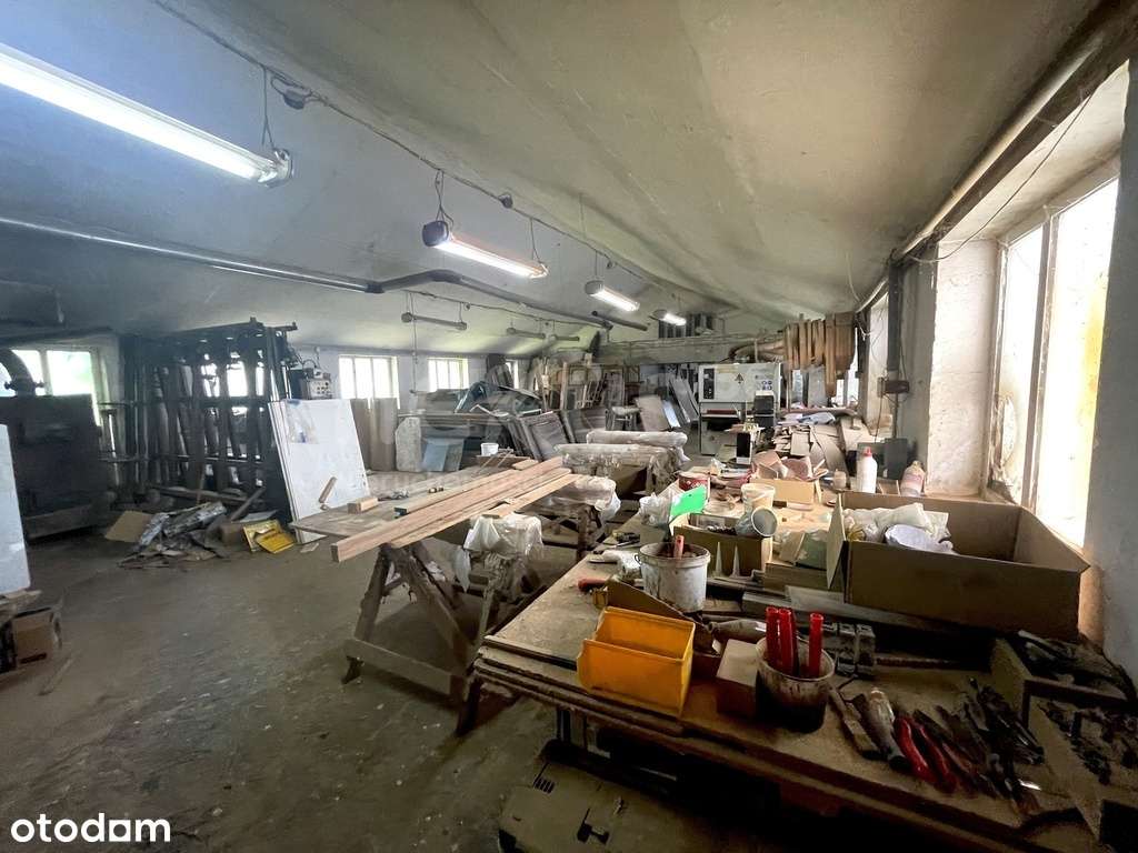 Hala,biura,magazyn,działka 42ar!!! - Pełny obrazek: 4/13