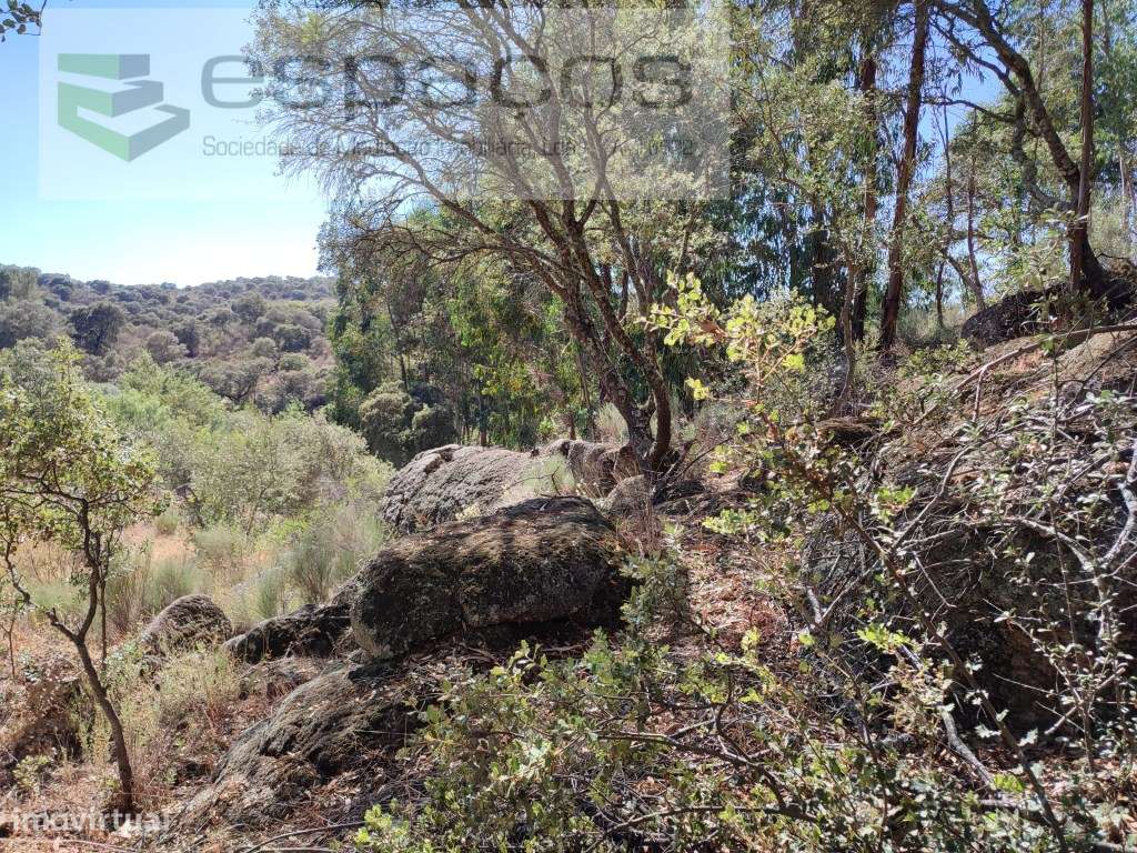 Terreno Rústico com 7 Hectares - Grande imagem: 5/28