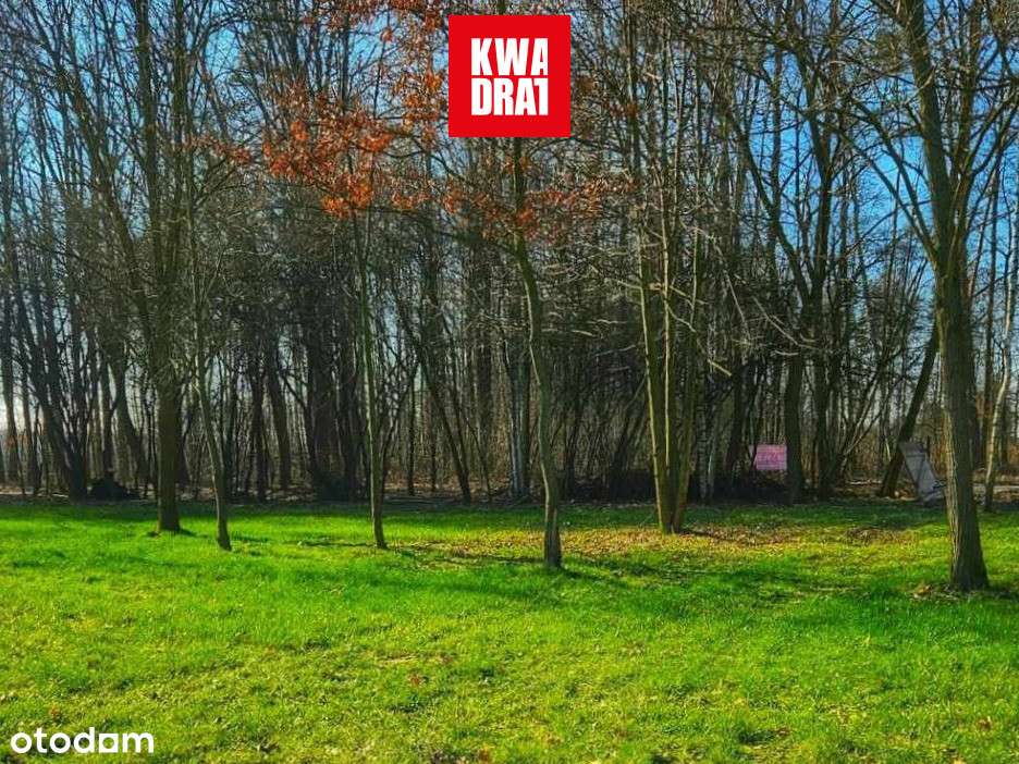 1505m2/ prąd/woda/ Ostatnie - Pełny obrazek: 5/5