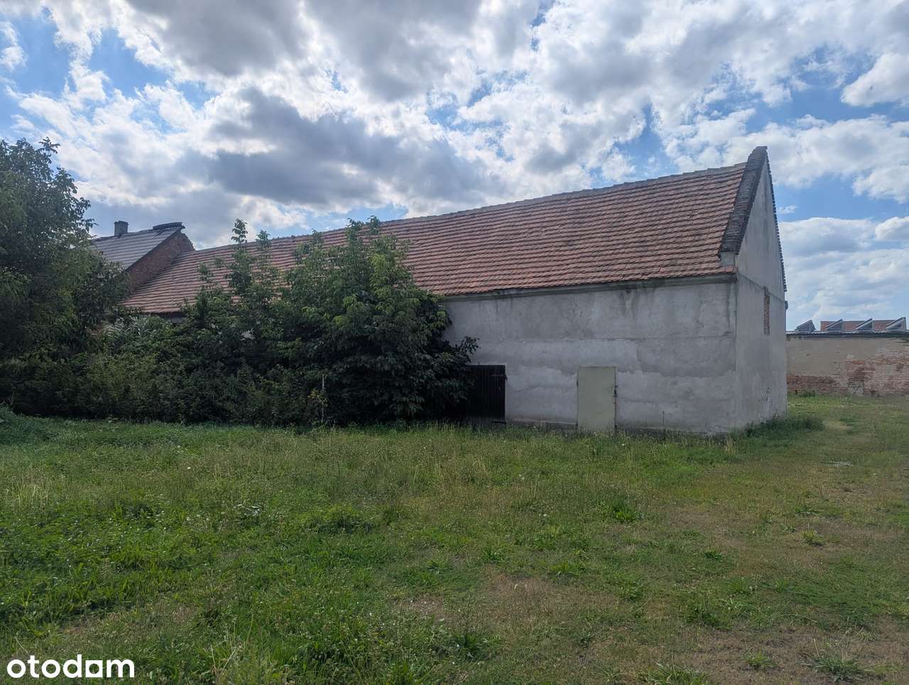 Pieczarkarnia/hala 800m2, blisko zjazd A4 - Pełny obrazek: 5/13