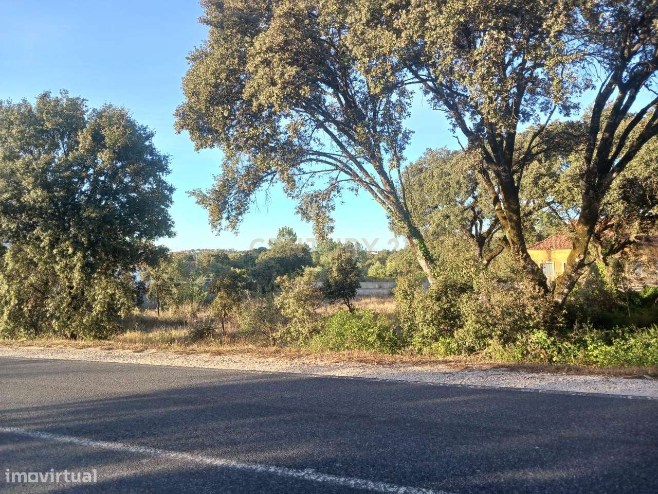 Terreno à Venda em Montelo, Fátima - Grande imagem: 2/9