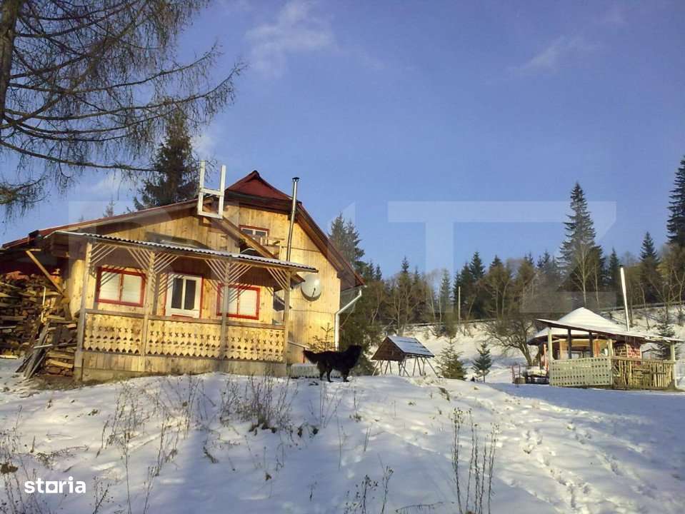 Ocazie unica! Cabana 180 mp utili, teren, Dorna Arini - Imagine principală: 4/13