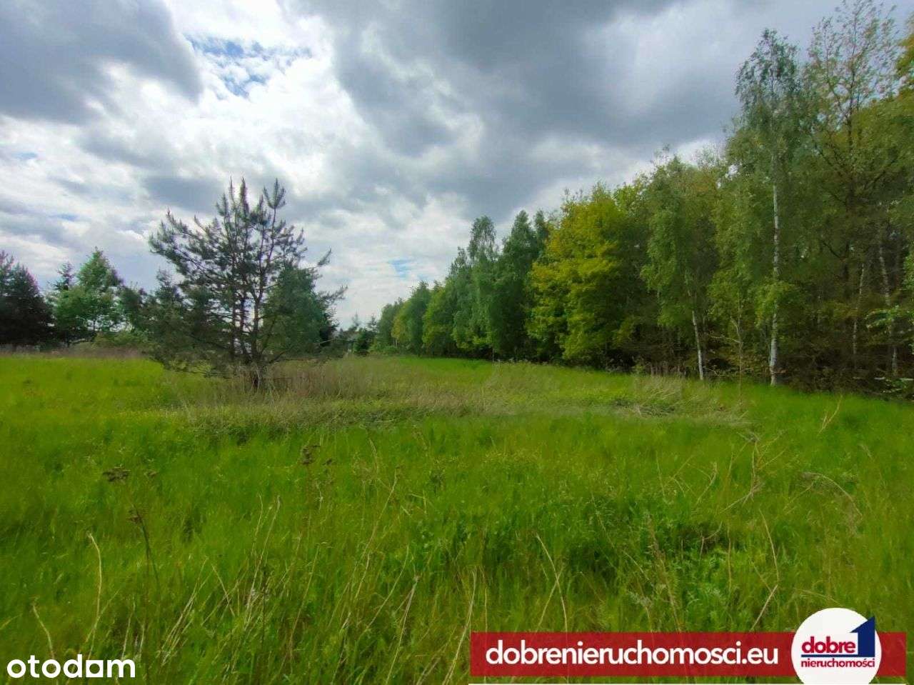 Działka ze ścianą lasu - 1664m2 - Strzelce Górne - Pełny obrazek: 4/6