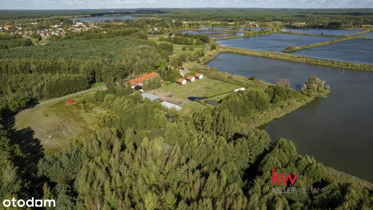 Działka rolna w enklawie leśnej Trzciel-Odbudowa. - Prikaz 4
