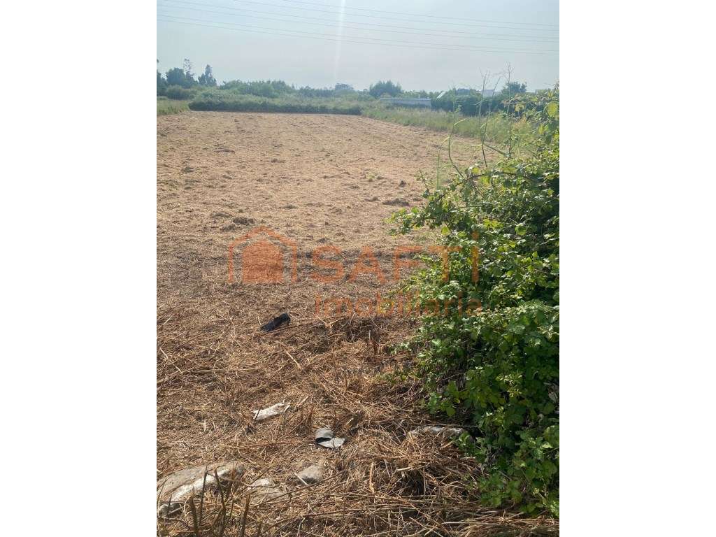 Terreno em Esmoriz - Grande imagem: 4/6