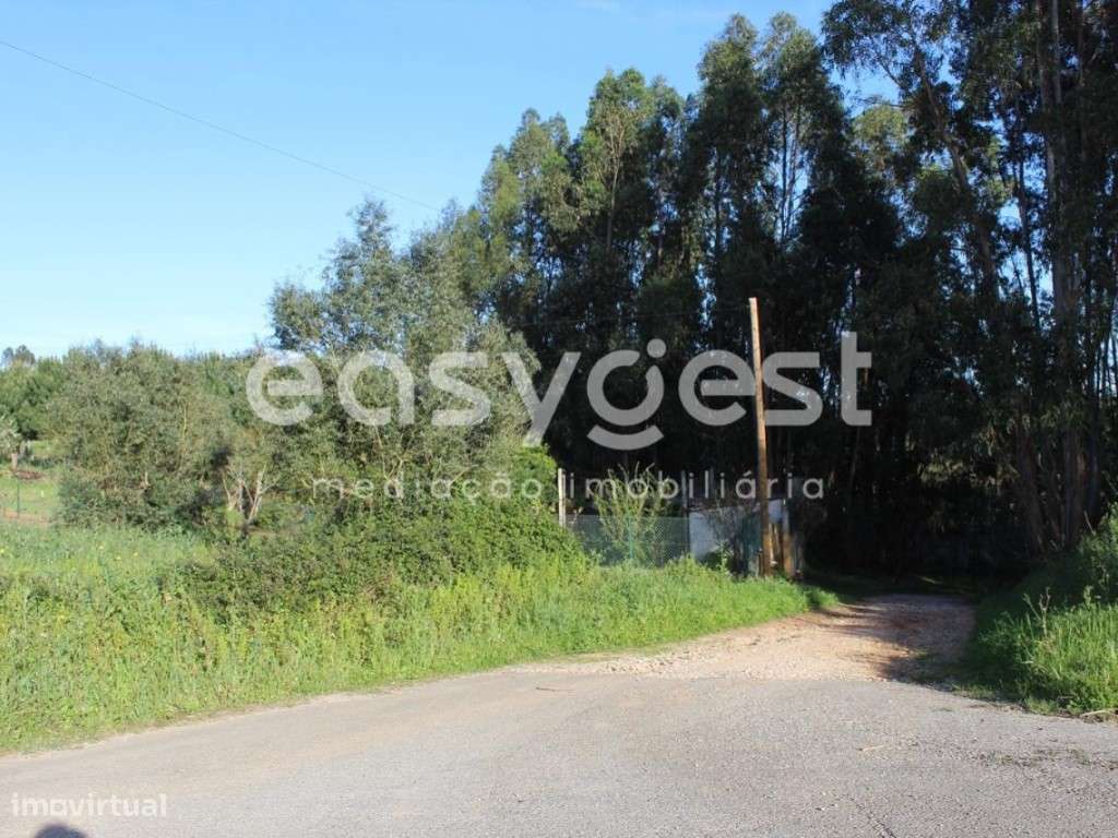 Terrenos com 10720 m2 na localidade Grou freguesia da Asseiceira - Grande imagem: 3/16