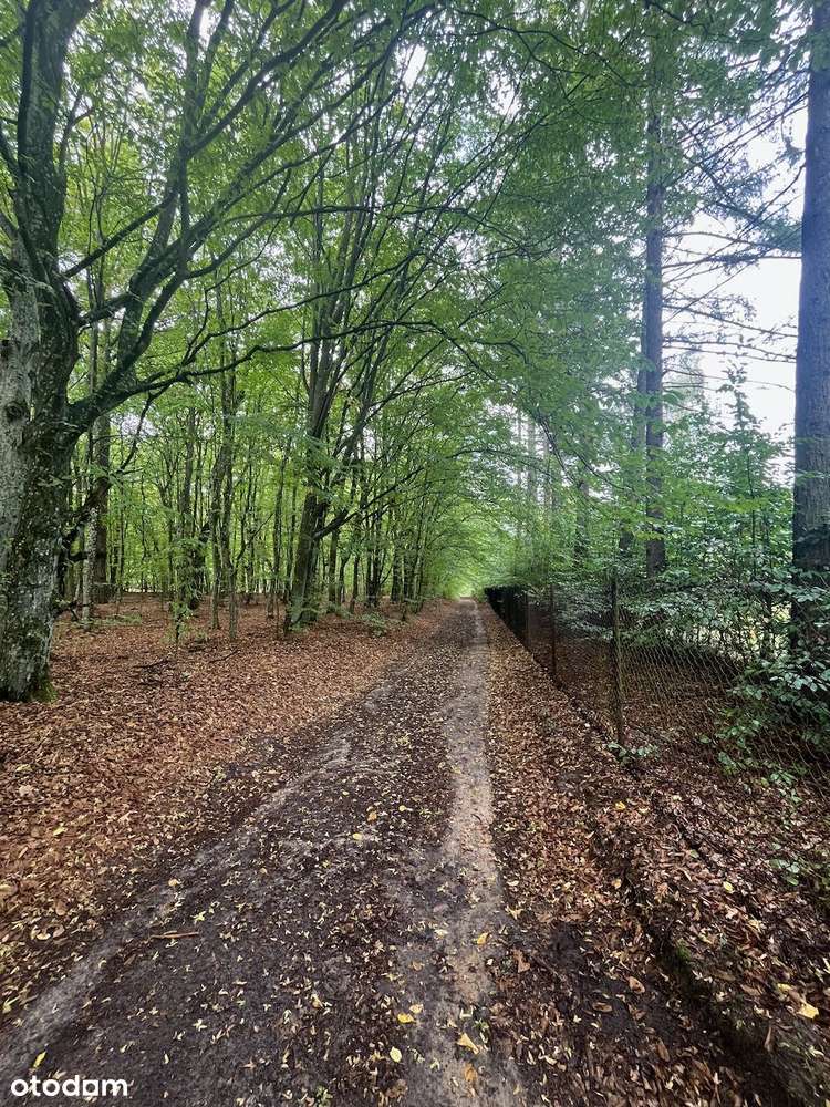 Kołbiel / Radachówka dz. budowlana nad Świdrem 30 min z W-wy trasą S17-11