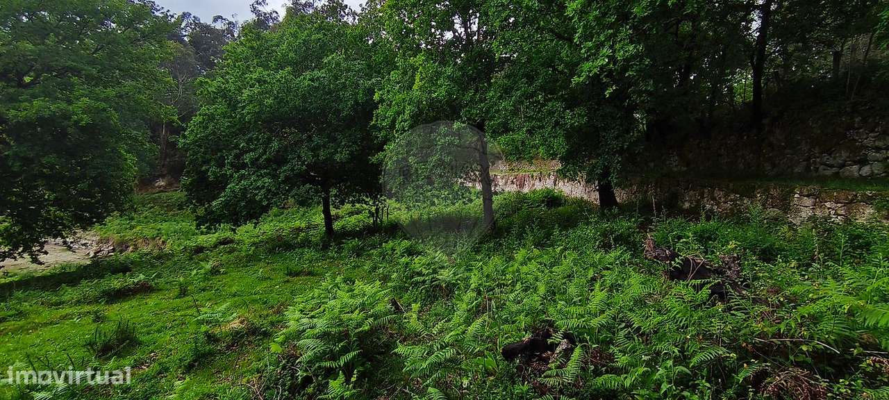 Terreno  para venda-21