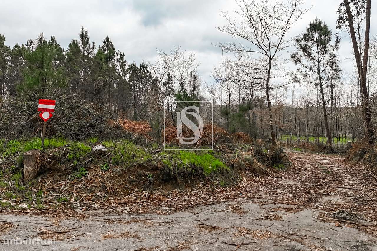 Terreno Rústico  Venda em Associação de freguesias do Vale do Neiva,Po-6