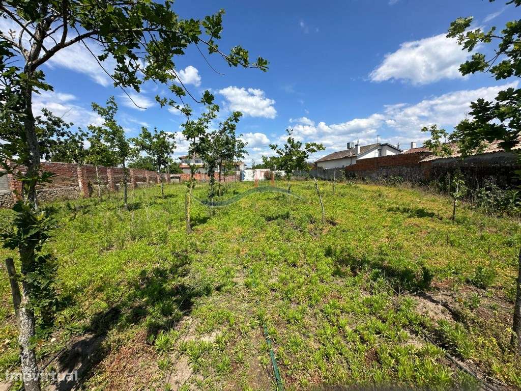 Terreno - Granja, Monte Real - Grande imagem: 5/15