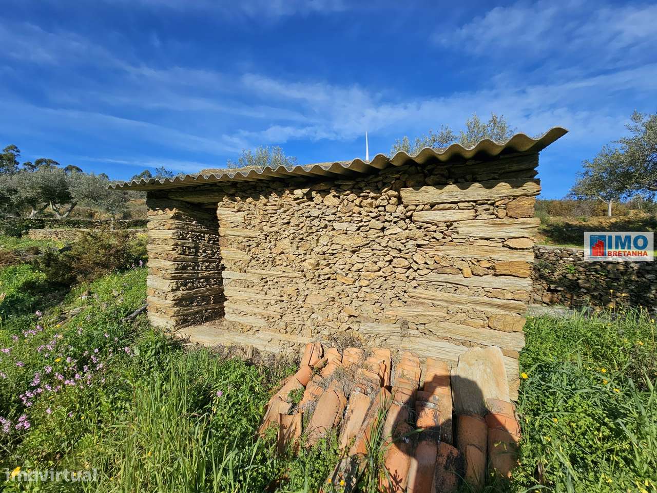 Quinta c/ 3.500m2 -  Cebolais de Cima-Retaxo - Grande imagem: 3/14