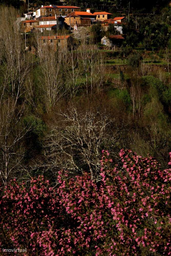 Charmosa Quinta em Castelo de Paiva-14