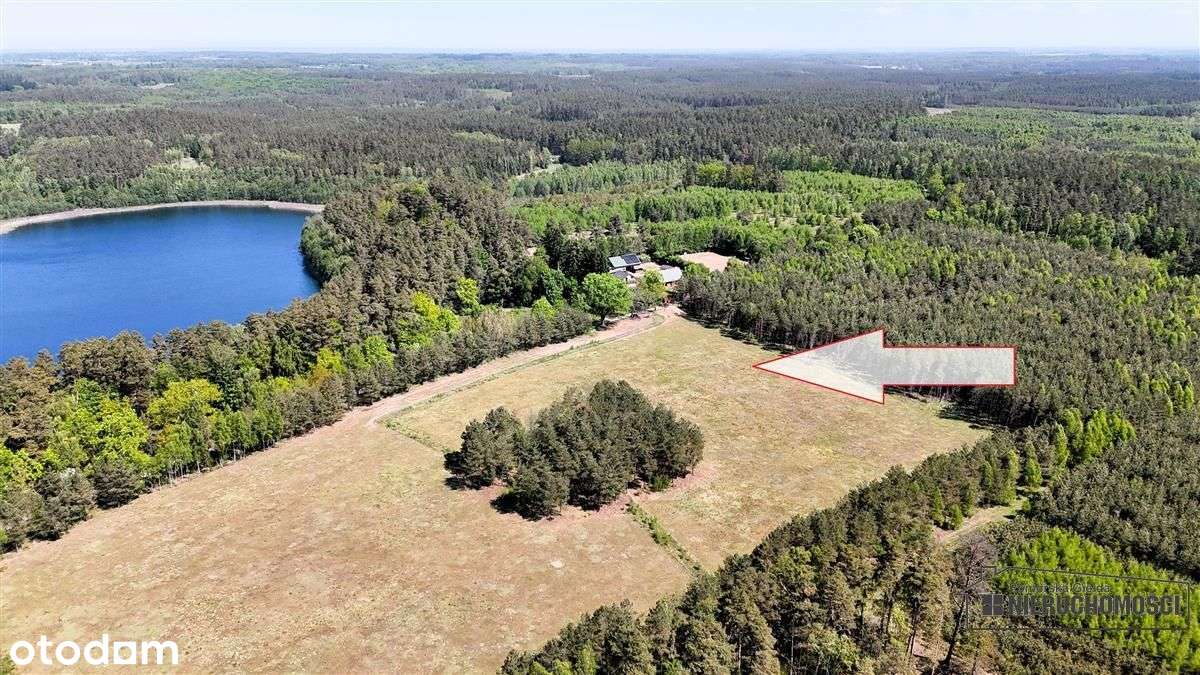 Okole - Grunt siedliskowy w otoczeniu lasu ok. 100-4