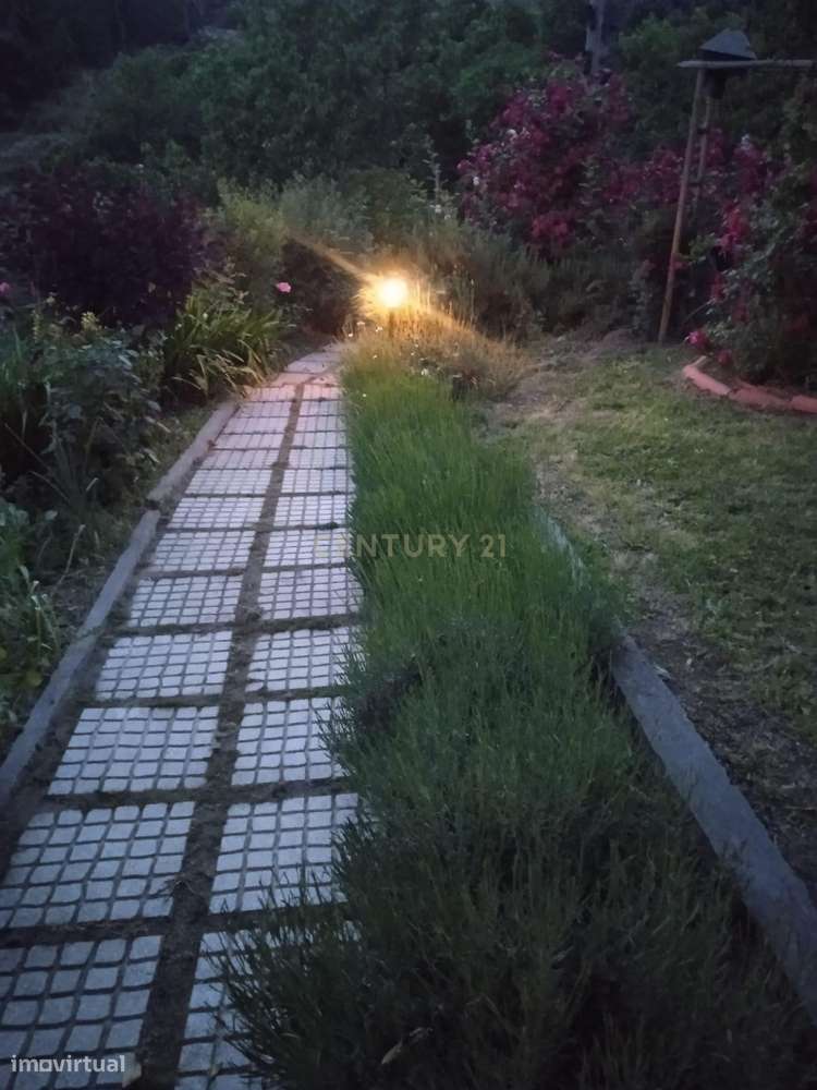 Quintinha - São Tomé de Covelas, Baião-38