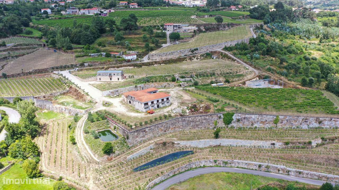 Quinta Venda Em Sande E Sao Lourenco Marco De Canaveses