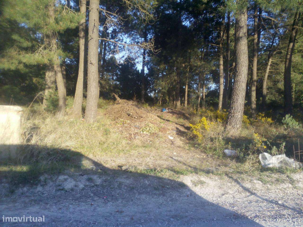 Azeitão / Brejos Azeitão Terreno 5000m2 .-6