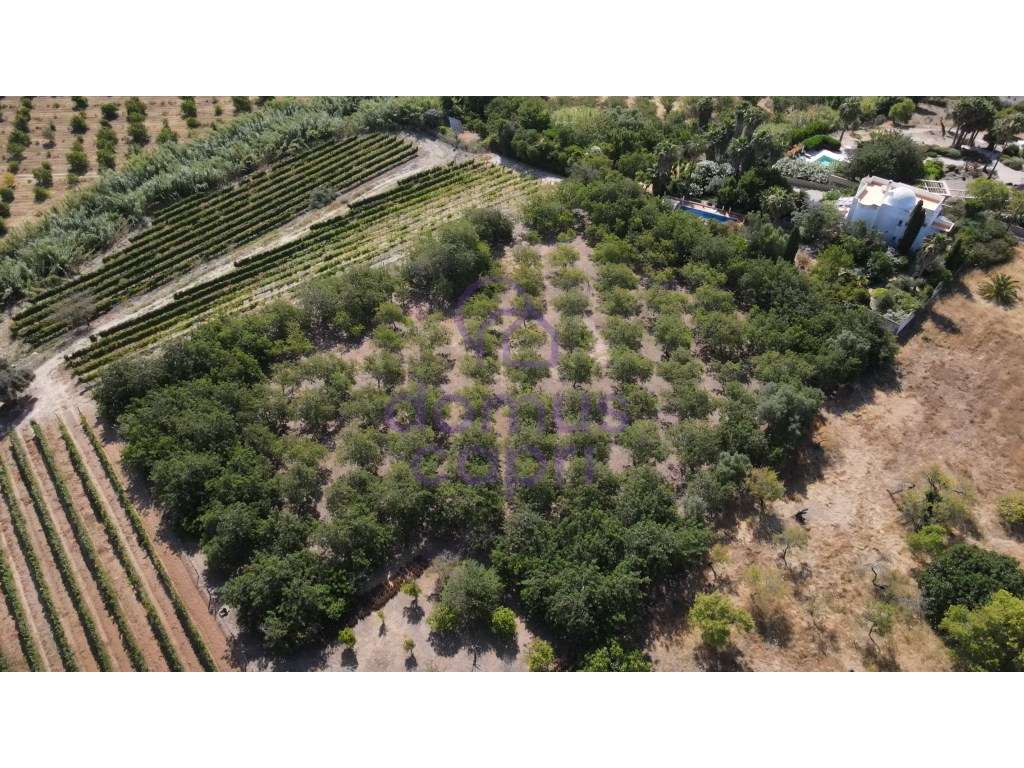 Moradia T2 + 2 para renovar em Arroio - Luz de Tavira-21