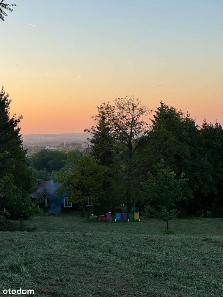 Działka o pow.1 ha - ul. Św.Marcina - Okazja!-5